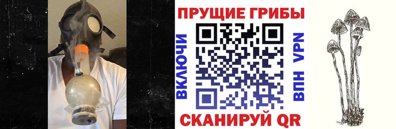 Псилоцибиновые грибы мухоморы  Купить где  Заволжье 